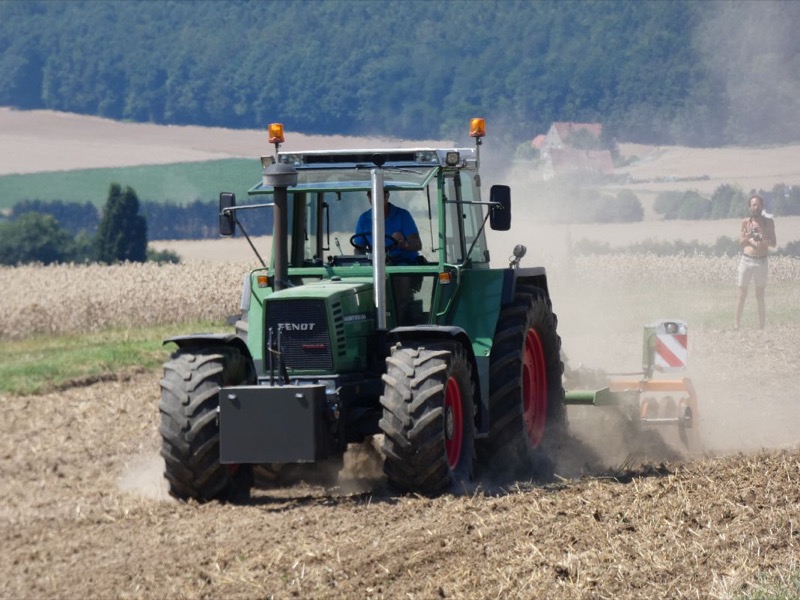 Kleiner Feldtag, Bild 6
