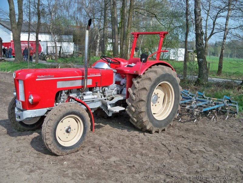 kleiner Feldtag, Bild 13