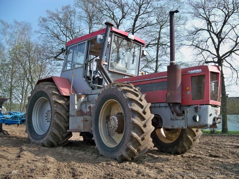 kleiner Feldtag, Bild 14