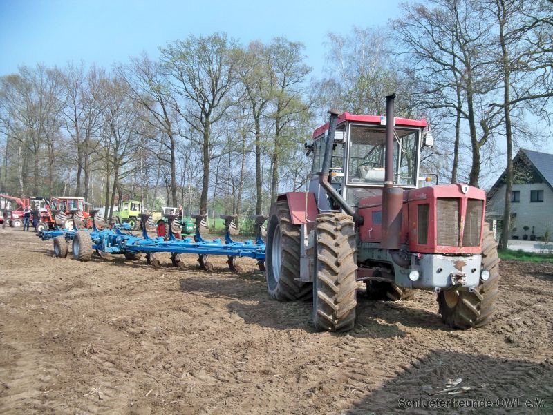 kleiner Feldtag, Bild 15