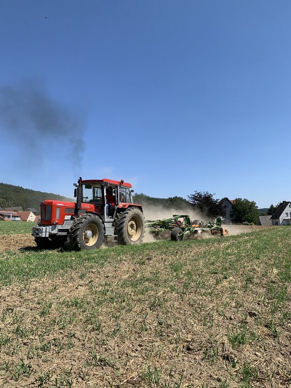 Kleiner Feldtag, Bild 9