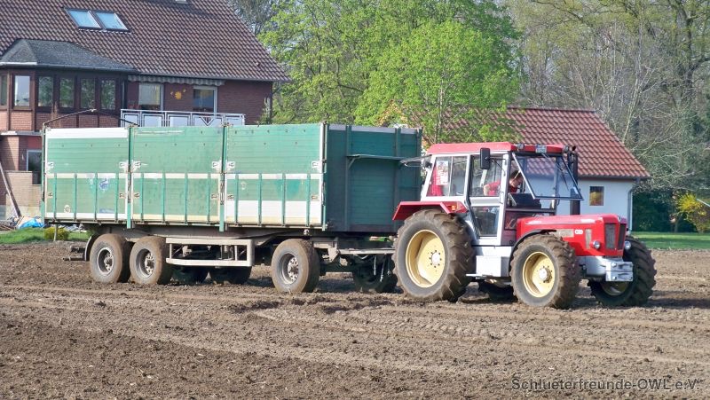 kleiner Feldtag, Bild 16