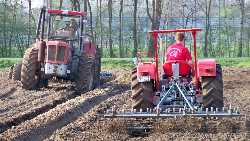 kleiner Feldtag, Bild 17