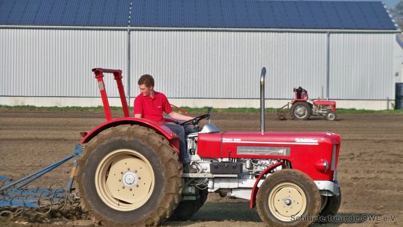 kleiner Feldtag, Bild 18