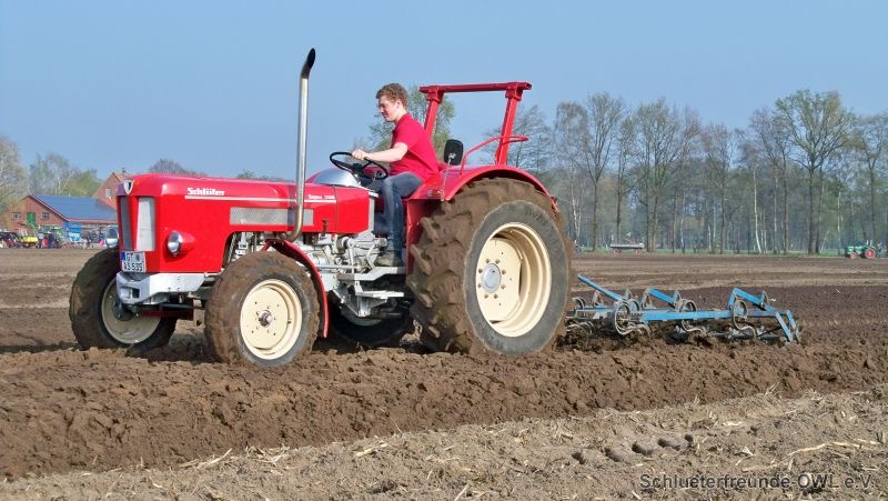 kleiner Feldtag, Bild 19