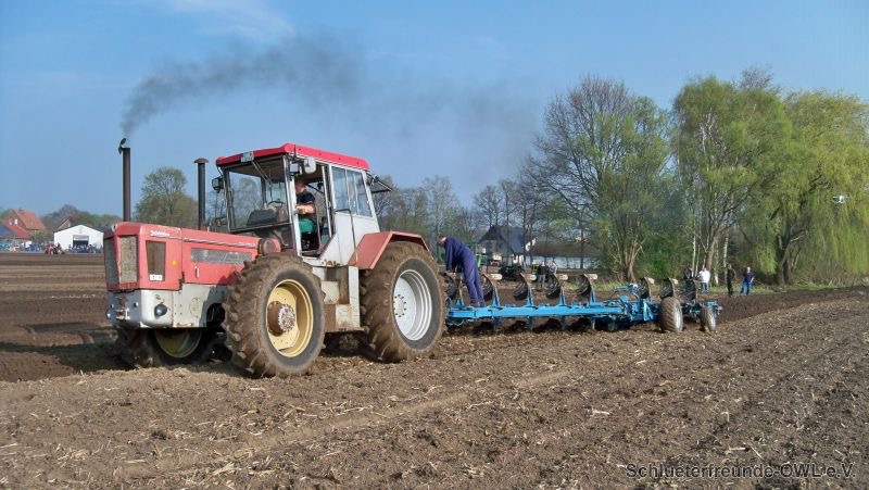 kleiner Feldtag, Bild 20