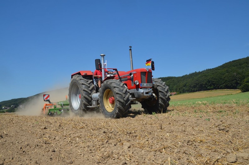 Kleiner Feldtag, Bild 15