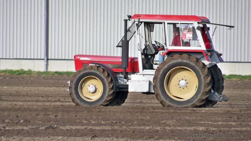 kleiner Feldtag, Bild 21