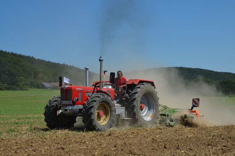 Kleiner Feldtag, Bild 16