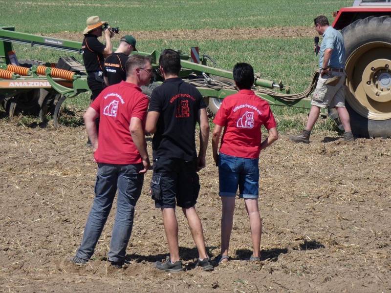 Kleiner Feldtag, Bild 26