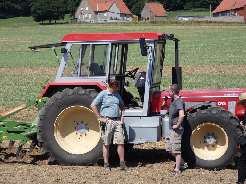 Kleiner Feldtag, Bild 28