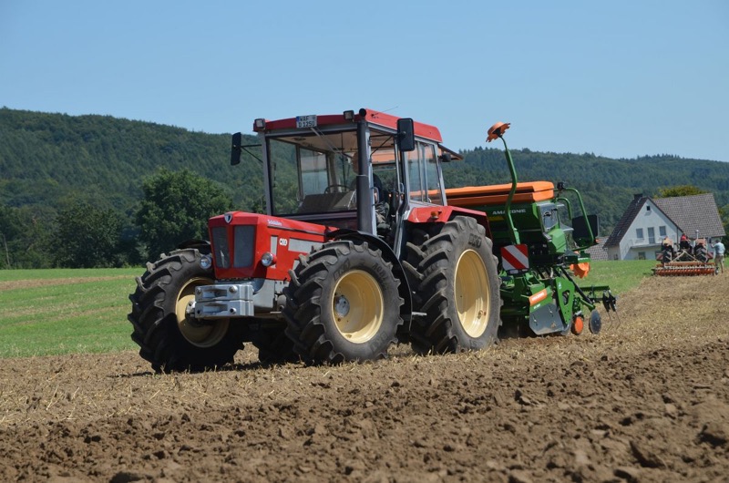 Kleiner Feldtag, Bild 29