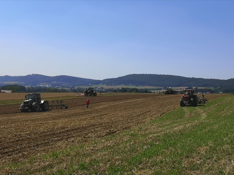 Kleiner Feldtag, Bild 35