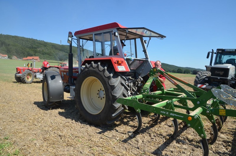 Kleiner Feldtag, Bild 36