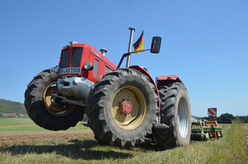 Kleiner Feldtag, Bild 38