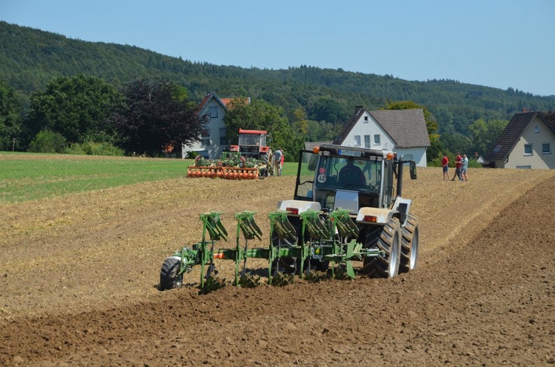 Kleiner Feldtag, Bild 40