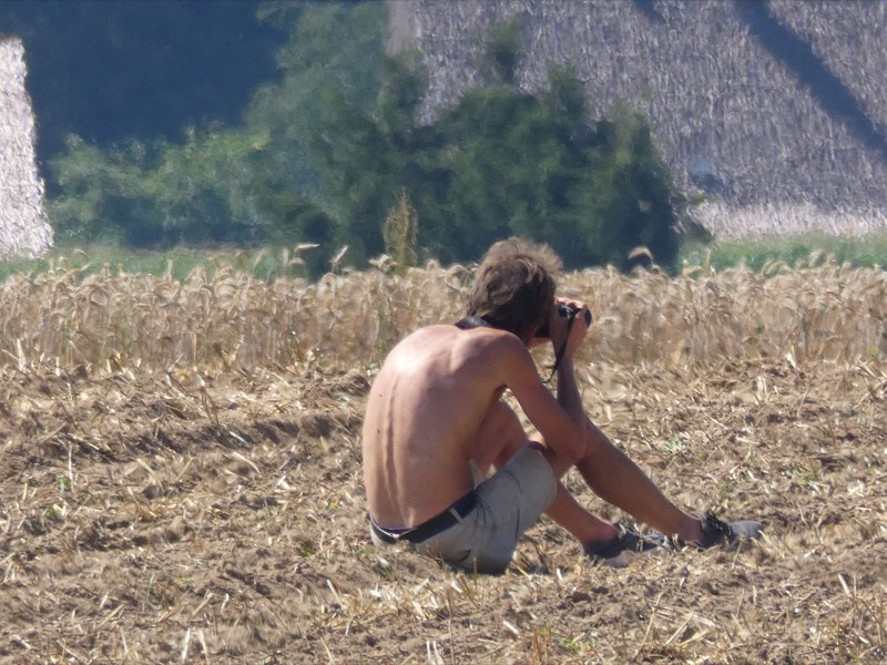 Kleiner Feldtag, Bild 44
