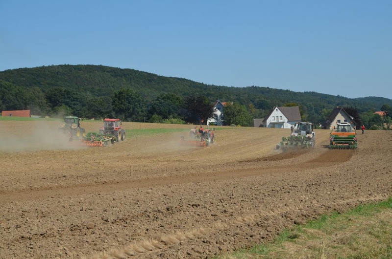 Kleiner Feldtag, Bild 52