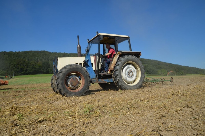 Kleiner Feldtag, Bild 56