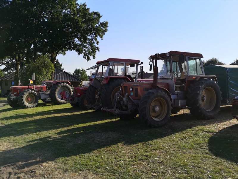 Kleiner Feldtag, Bild 64