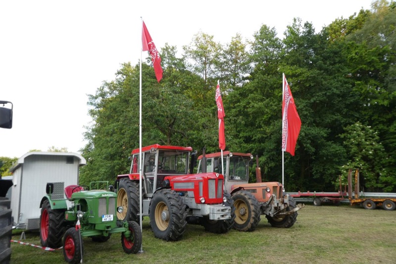 2019, Bild 11