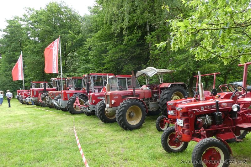 Klosterbauerschaft, Bild 65
