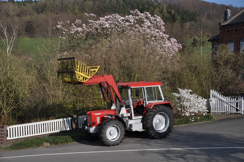 Frühlingsfotos, Bild 2