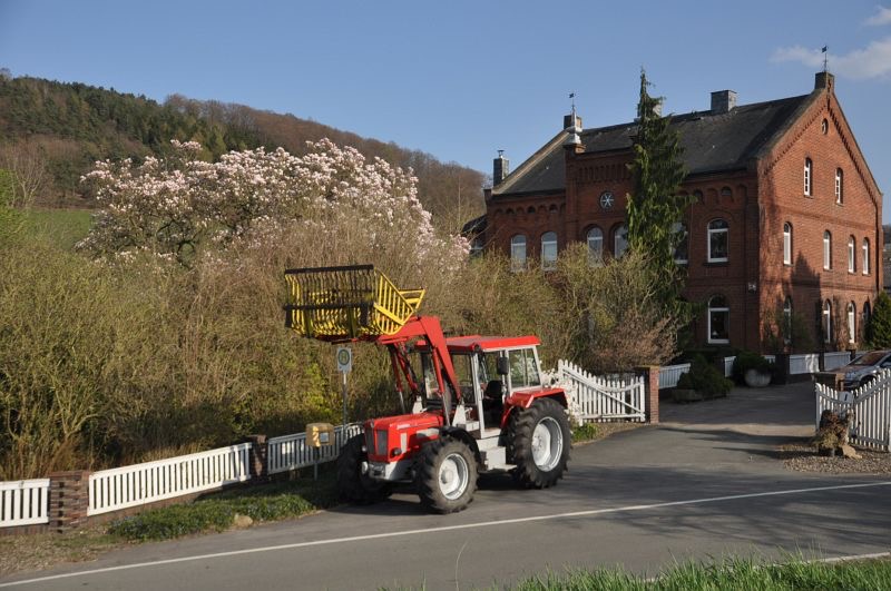 Frühlingsfotos, Bild 3