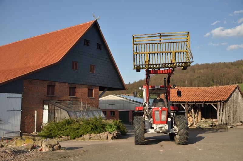 Frühlingsfotos, Bild 4