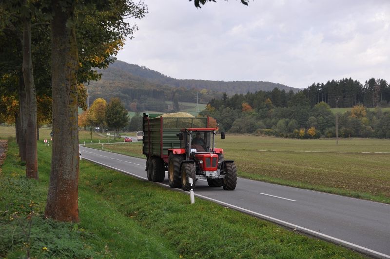 Maisernte, Bild 10