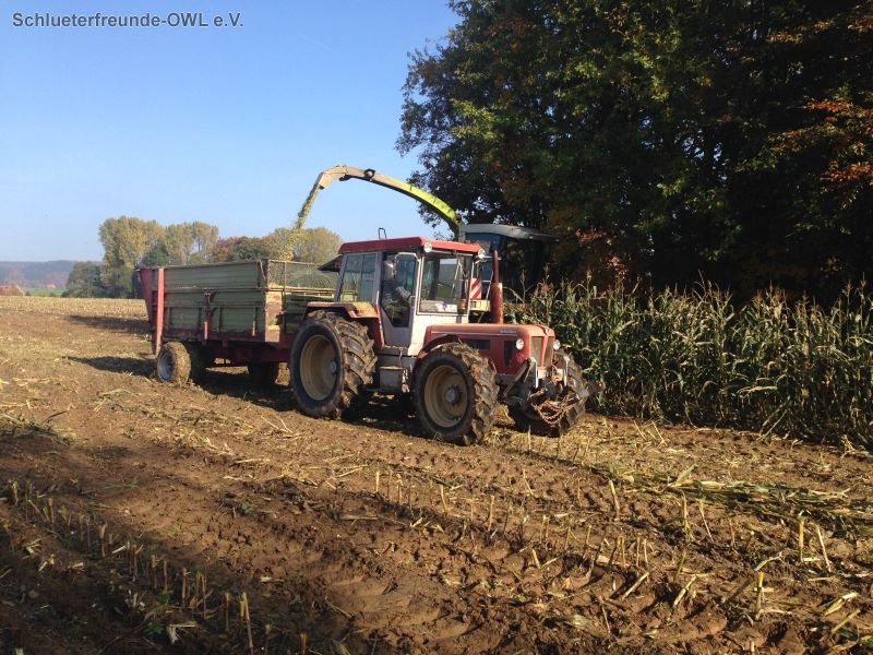 Maisernte, Bild 10