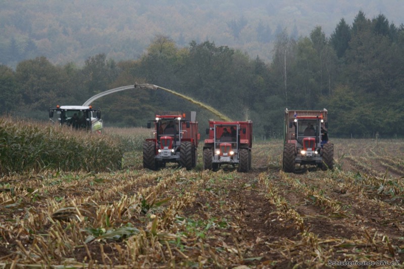 Schlüter im Einsatz, Bild 8