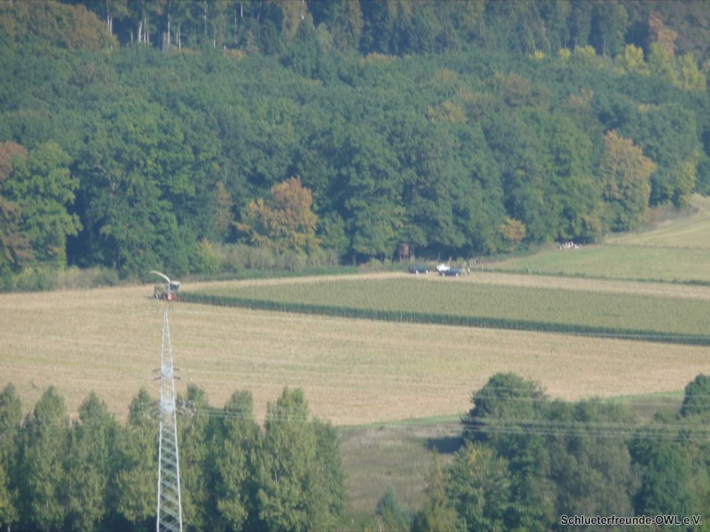 Maishäckseln, Bild 19