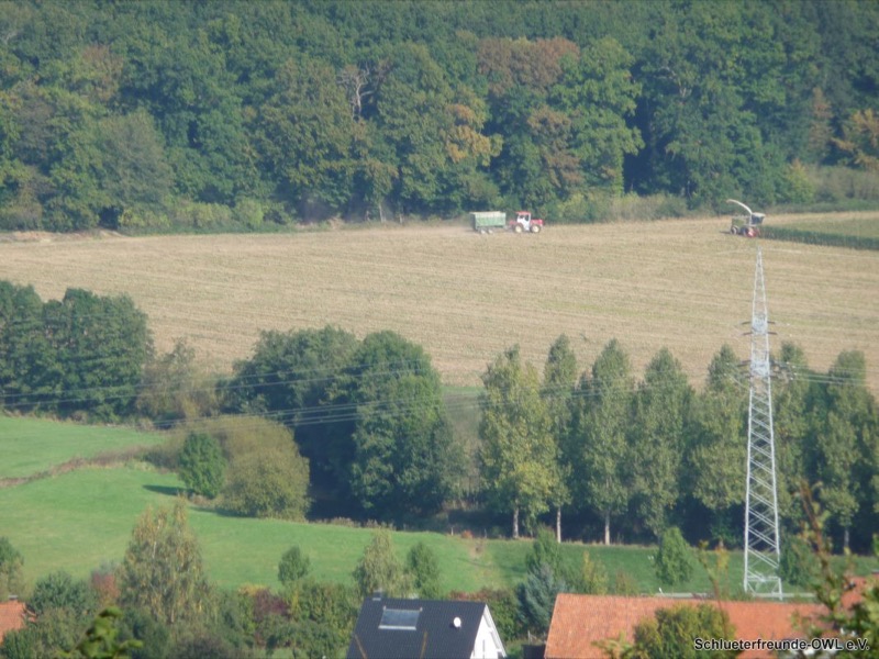 Maishäckseln, Bild 20