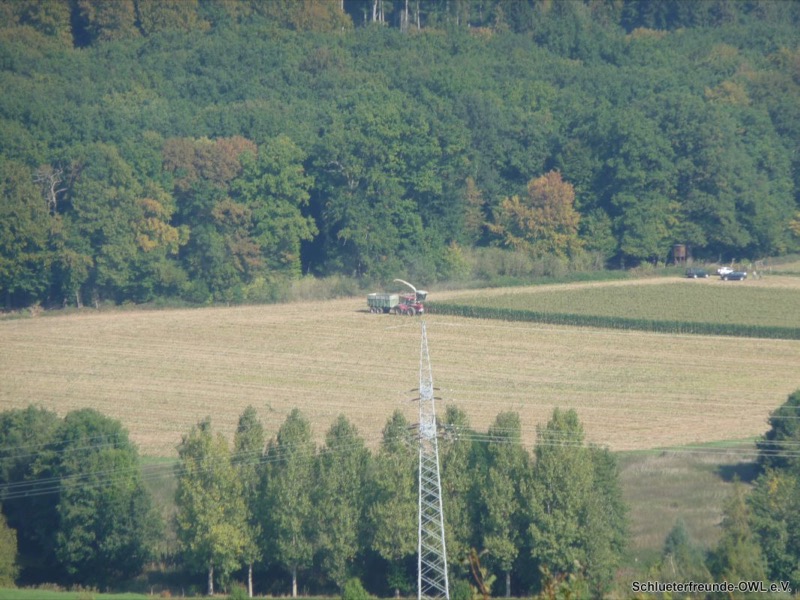 Maishäckseln, Bild 21