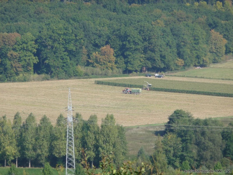 Maishäckseln, Bild 22