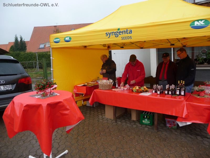 2015, Bild 12