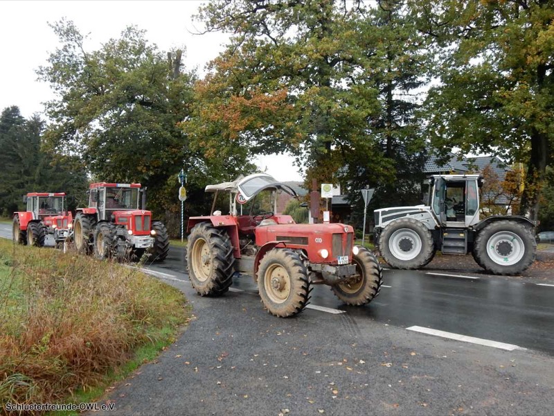 Kleiner feldtag und martinimarkt, Bild 4