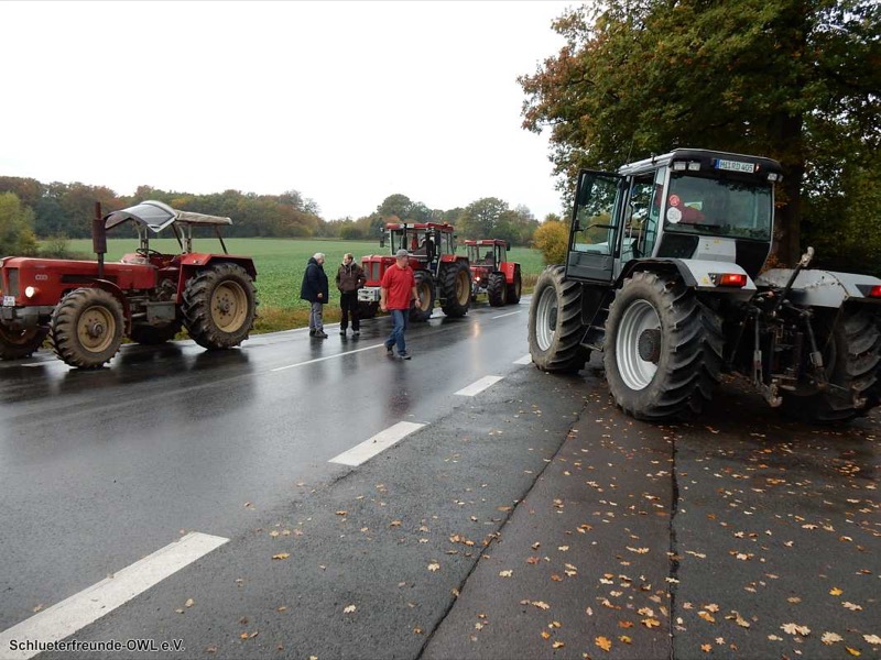 Kleiner feldtag und martinimarkt, Bild 5