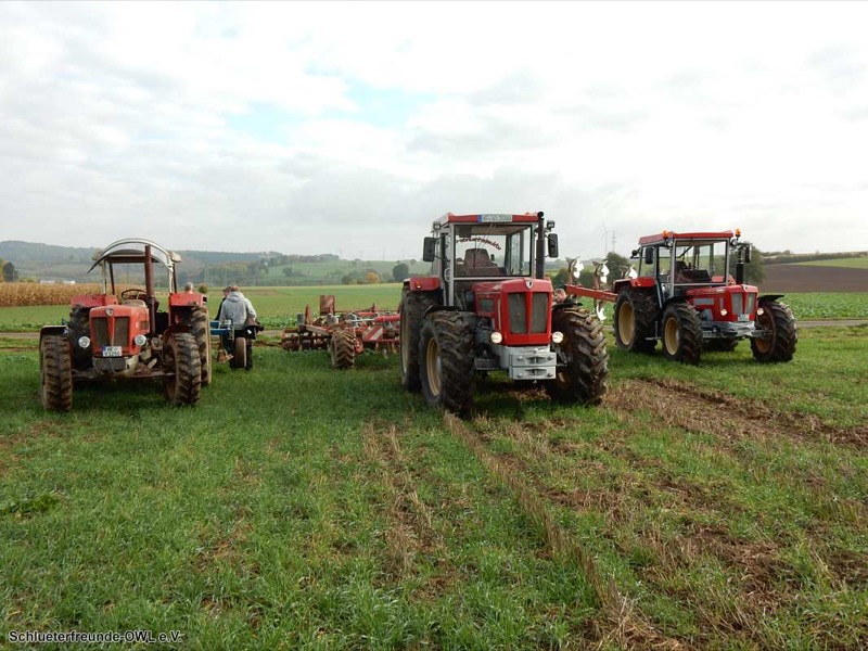 Kleiner feldtag und martinimarkt, Bild 6