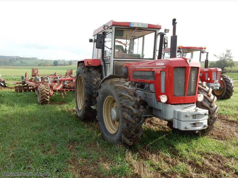 Kleiner feldtag und martinimarkt, Bild 7