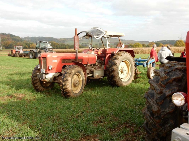 Kleiner feldtag und martinimarkt, Bild 8