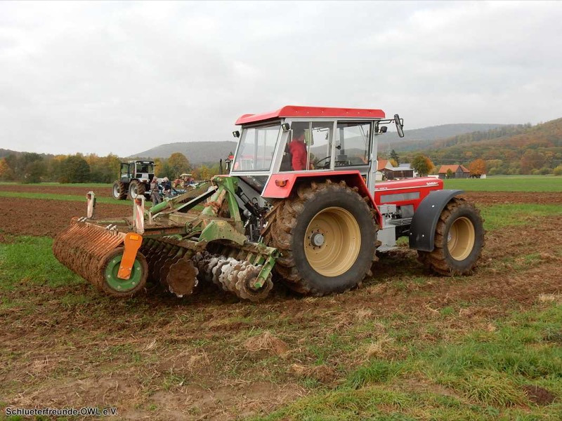 Kleiner feldtag und martinimarkt, Bild 12