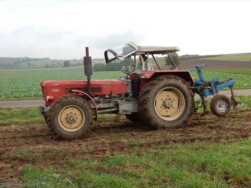 Kleiner feldtag und martinimarkt, Bild 15