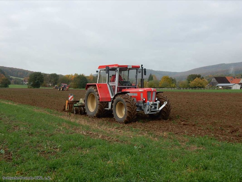 Kleiner feldtag und martinimarkt, Bild 16