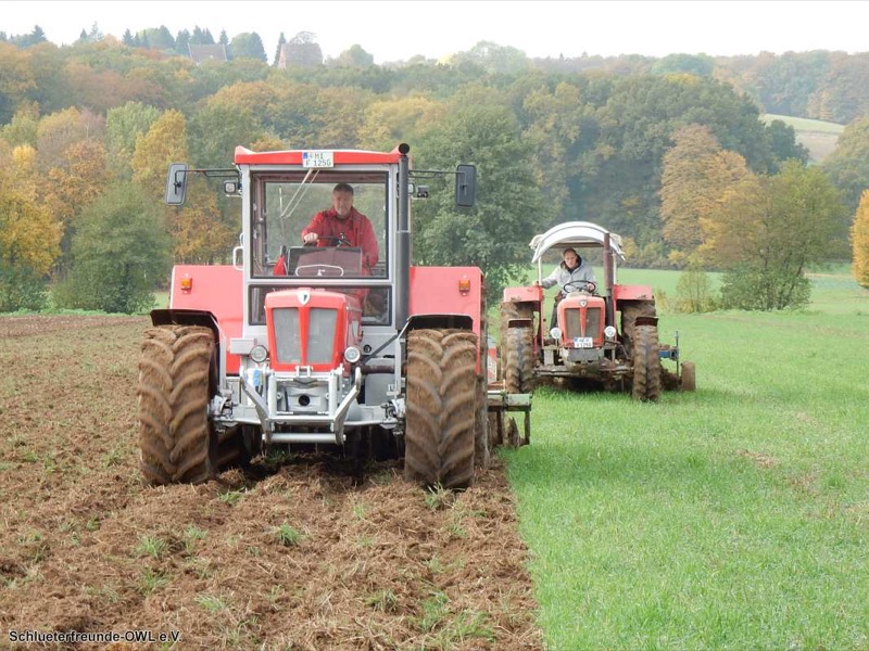 Kleiner feldtag und martinimarkt, Bild 17