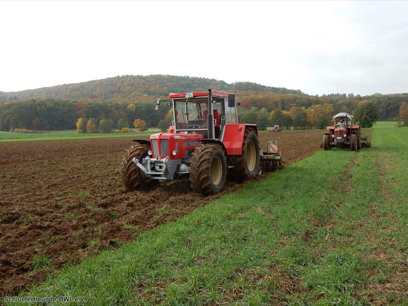 Kleiner feldtag und martinimarkt, Bild 18