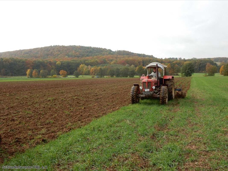 Kleiner feldtag und martinimarkt, Bild 19