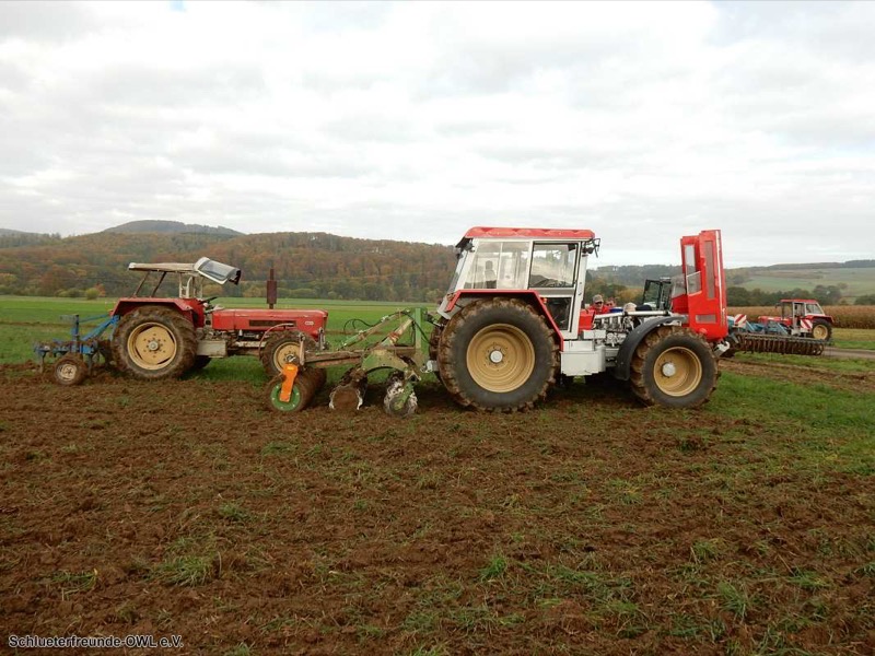 Kleiner feldtag und martinimarkt, Bild 21