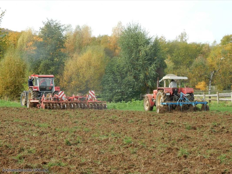 Kleiner feldtag und martinimarkt, Bild 24